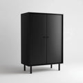 Armoire de rangement en acier noir rectangulaire à 2 portes 80 x 40 x 120 cm